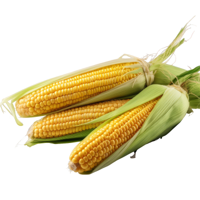 Corn